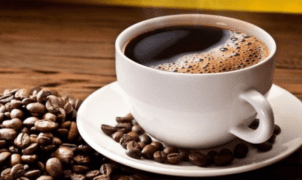 Kopi Robusta